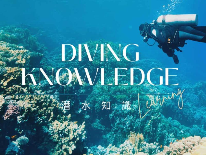 潛水知識 Cover3
